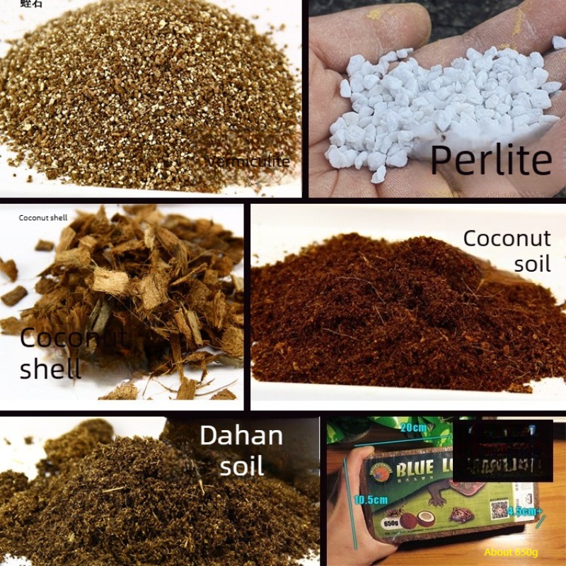 Кокосовый субстрат для рептили – обзор и цена Sphagnum Moss Dry