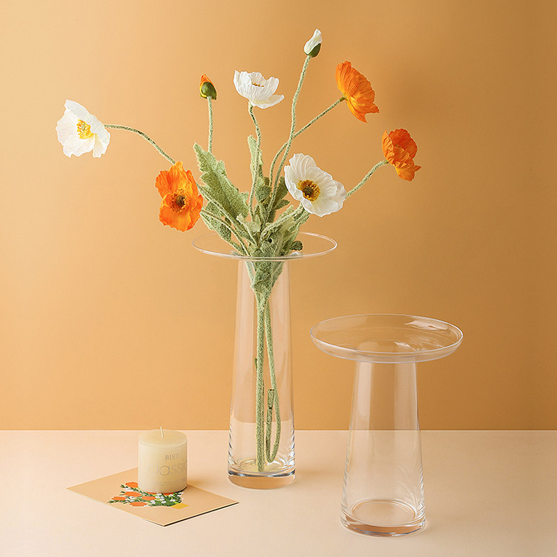 Прозрачная гидропонная ваза LI – обзор и цена Propagation Station Vase