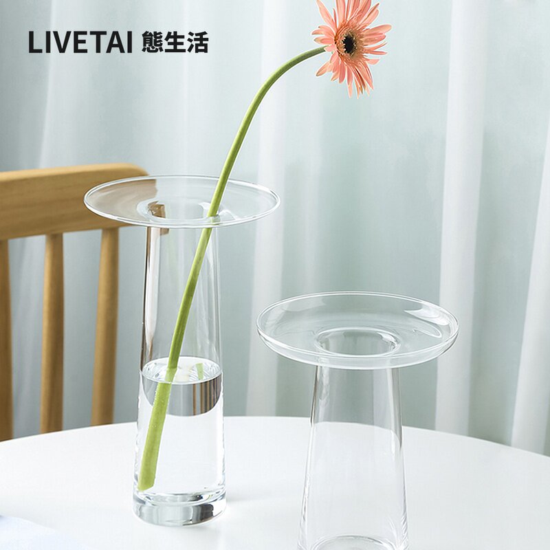 Прозрачная гидропонная ваза LI – обзор и цена Propagation Station Vase